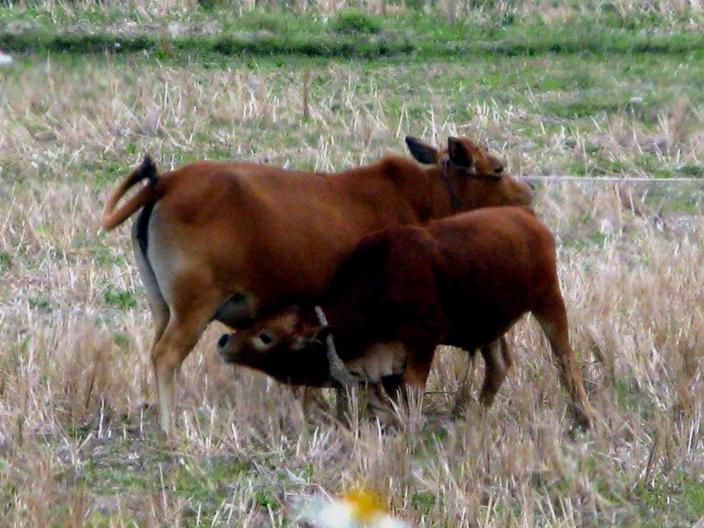IMG_1681.JPG