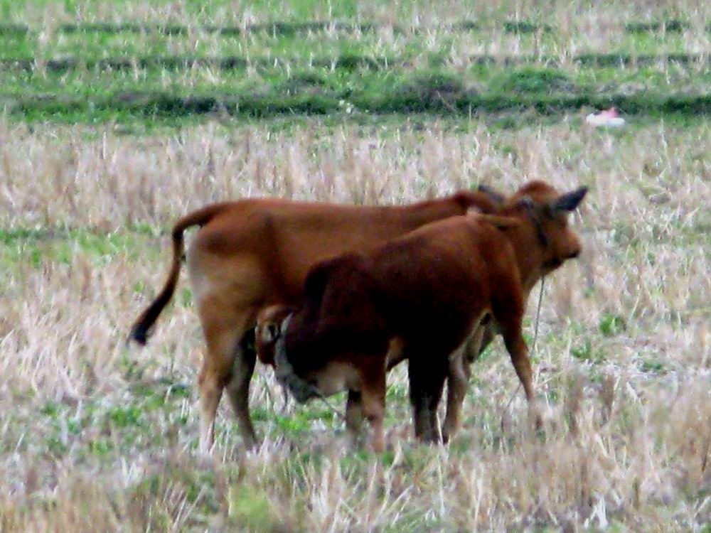 IMG_1680.JPG