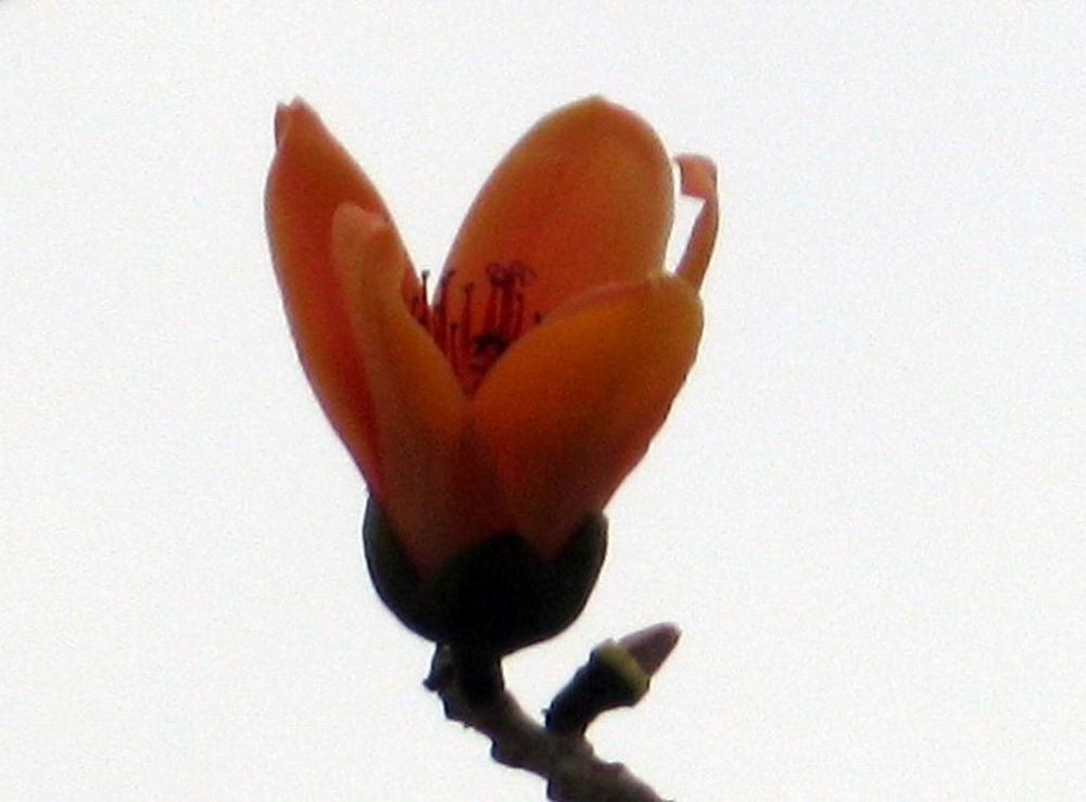 IMG_1890.JPG