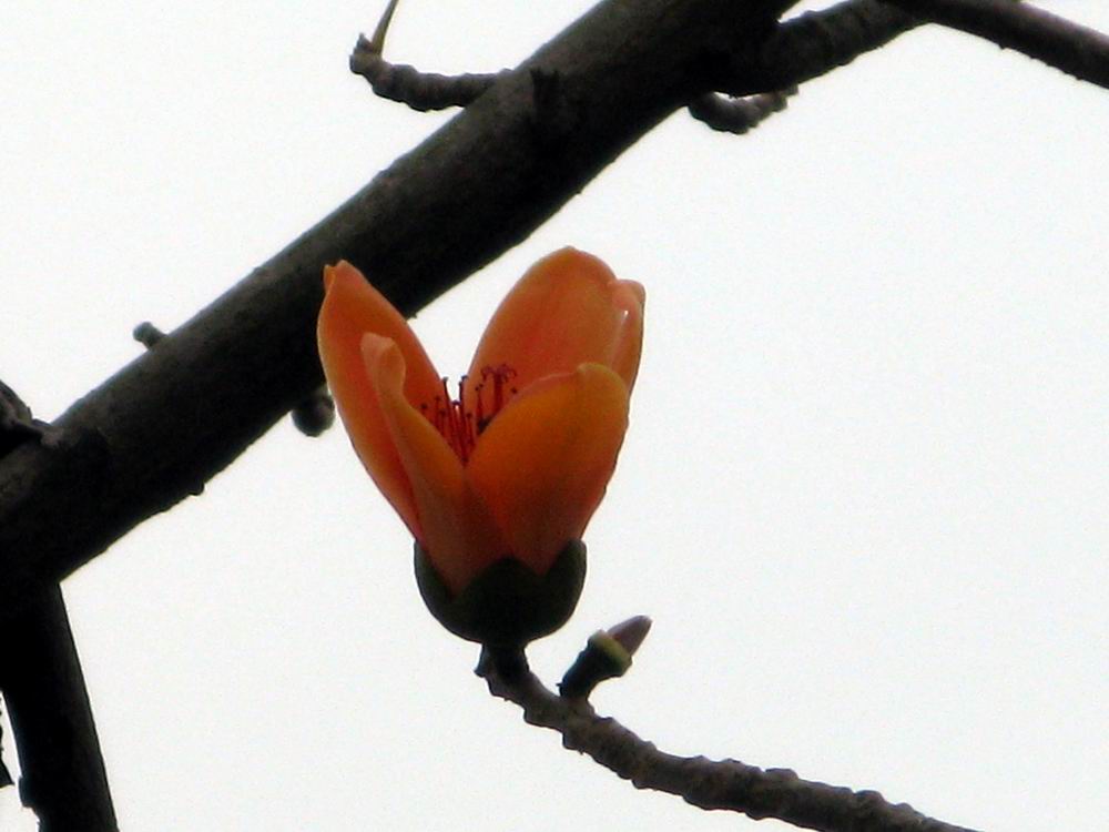 IMG_1889.JPG