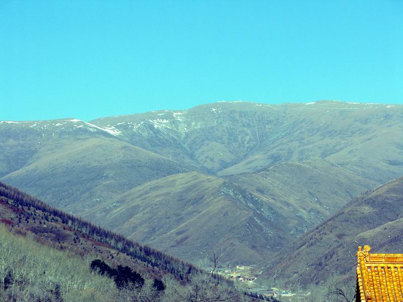 IMG_2419.JPG