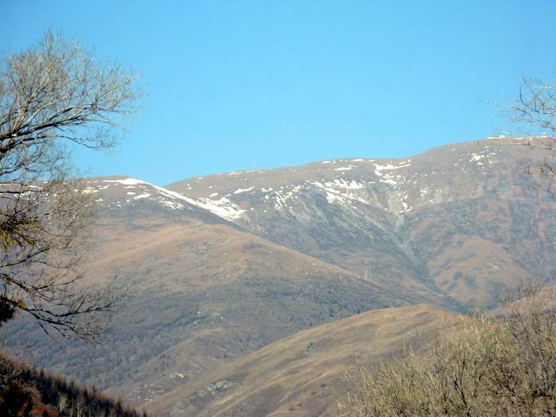 IMG_2406.JPG