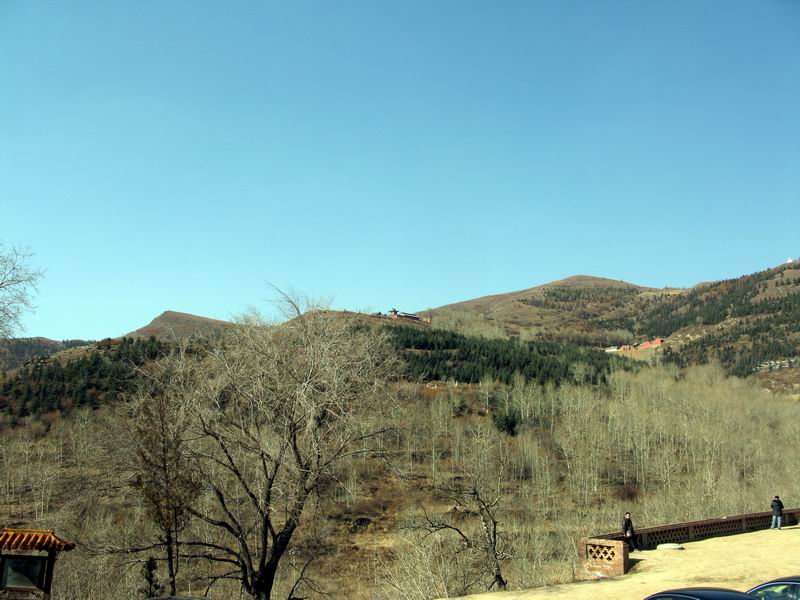 IMG_2410.JPG