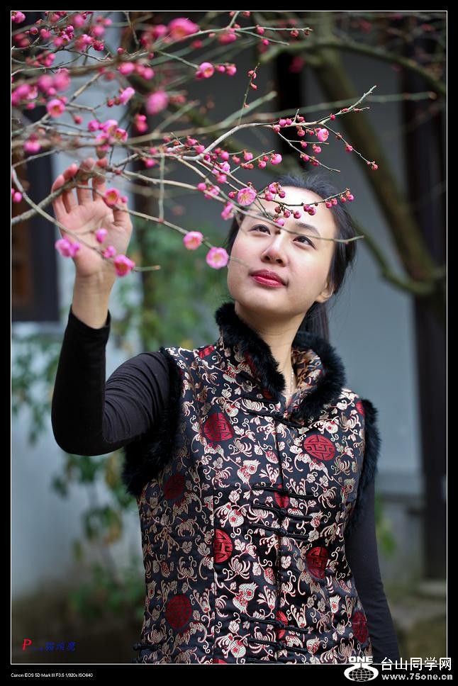 �}�u -31-429-1.jpg