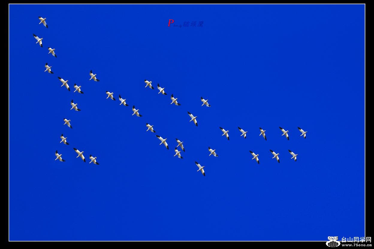 �}�u -55-5-3.jpg