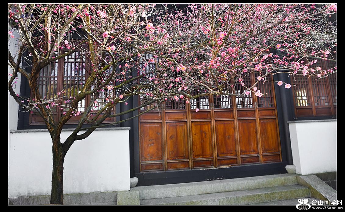 �}�u -42-088-0.jpg