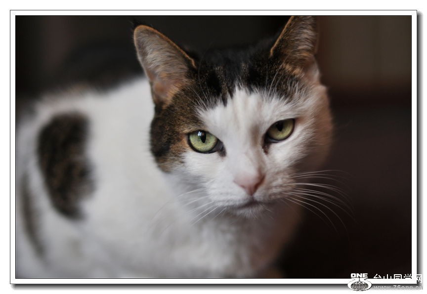 014 225_����.jpg