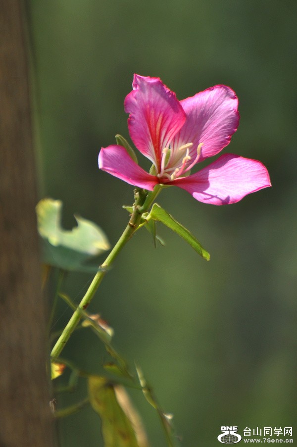 DSC_6797.JPG