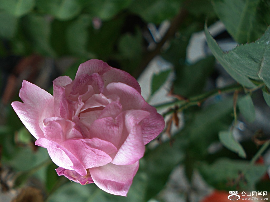 DSC00145.JPG