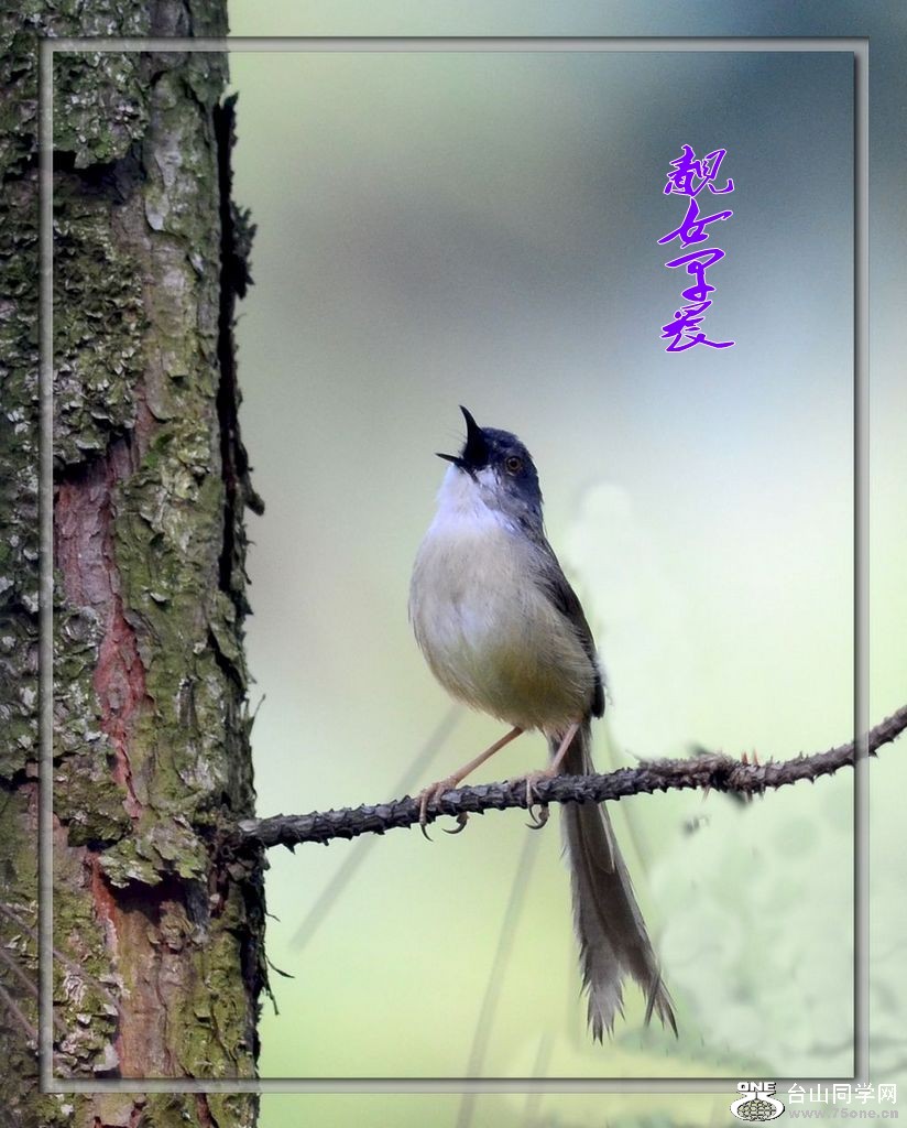 DSC_3358_conew2.jpg
