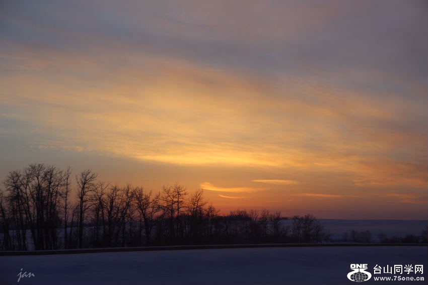 IMG_0771=.jpg