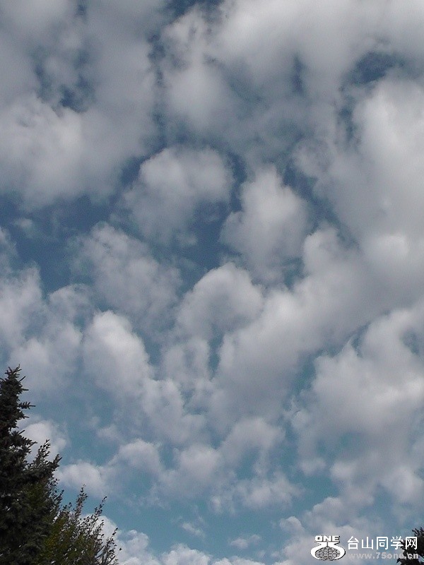 H2630005.JPG
