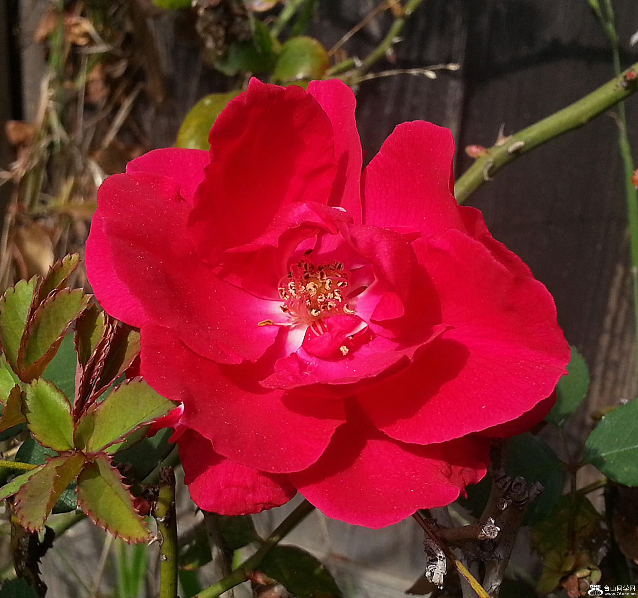 DSC_0048.jpg