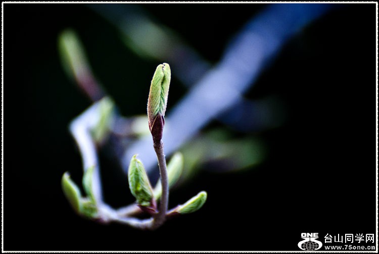 _DSC7373.jpg