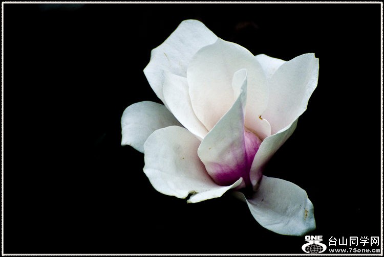 _DSC8171.jpg