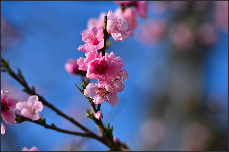 DSC_8920.jpg