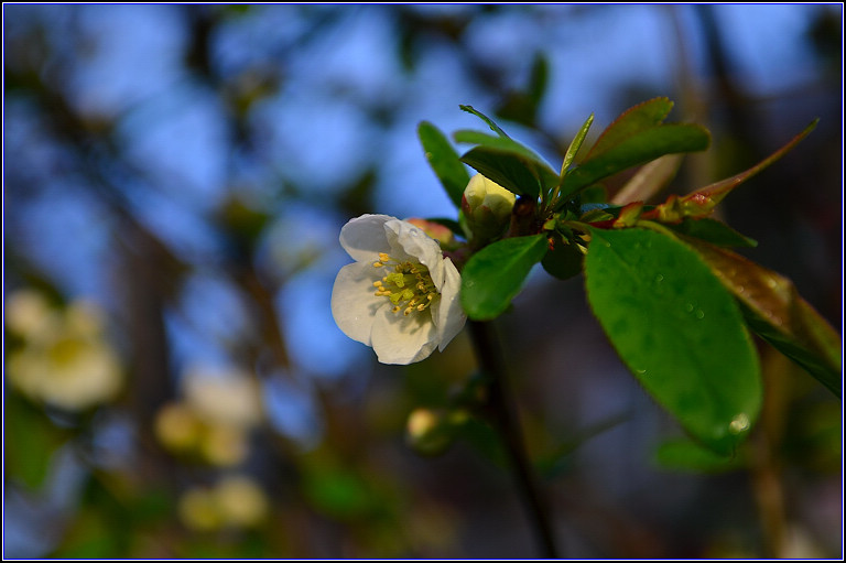 DSC_9143.jpg