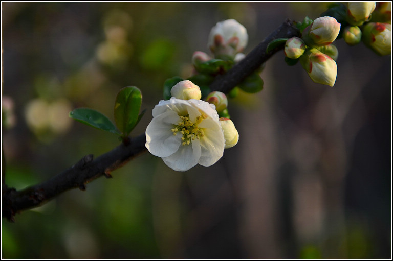 DSC_9155.jpg