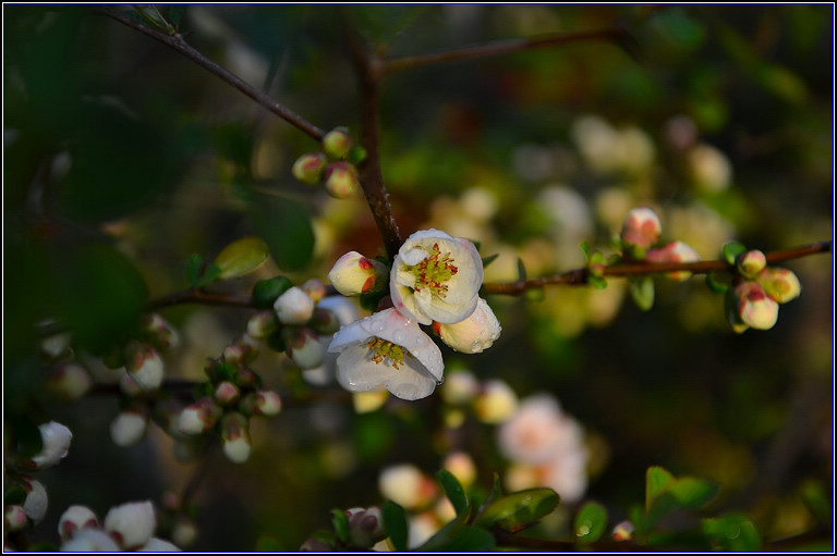 DSC_9153.jpg