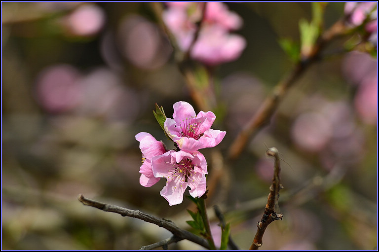DSC_8910.jpg