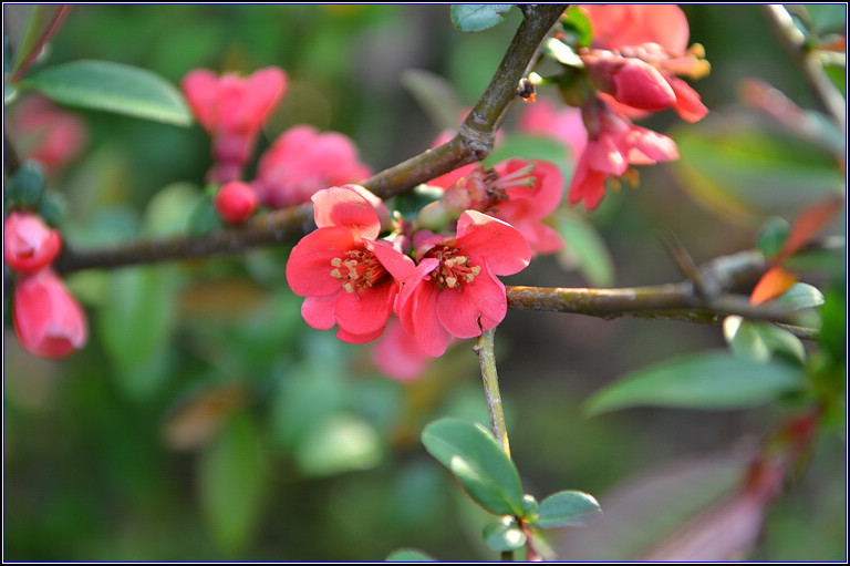 DSC_9090.jpg