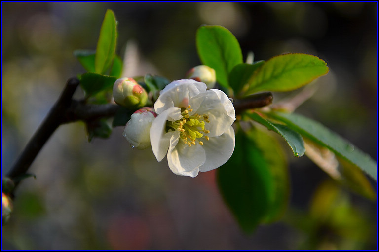 DSC_9157.jpg