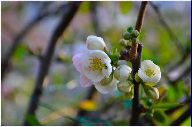 DSC_9160.jpg