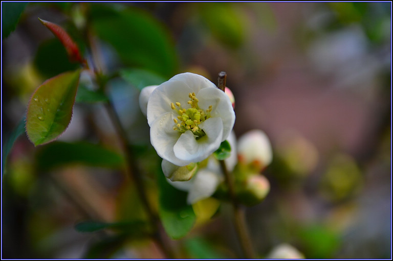 DSC_9158.jpg
