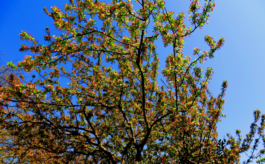 IMG_0001_2764.jpg