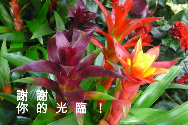 P1250841-001.JPG