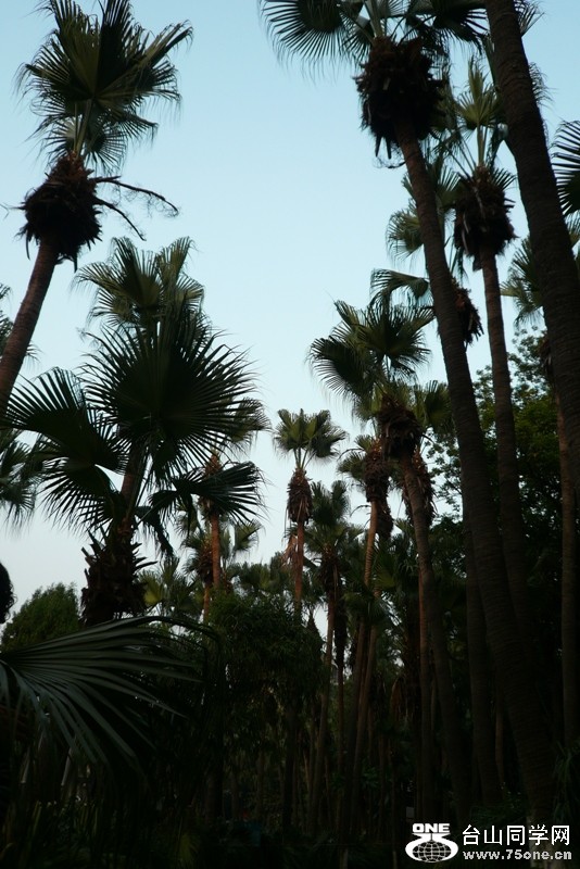 2010.11.19̨ 024.jpg-.jpg