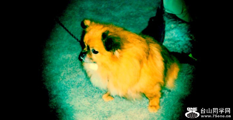 001_conew72.jpg