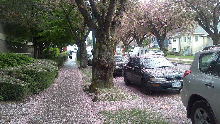 020.jpg