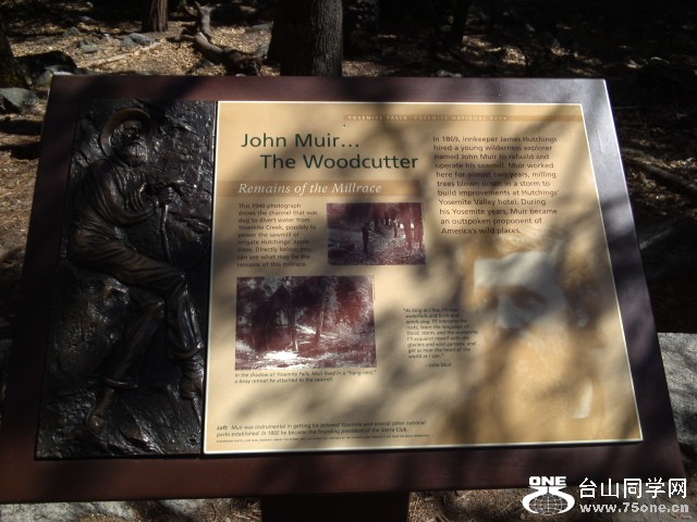 WP_000696.jpg