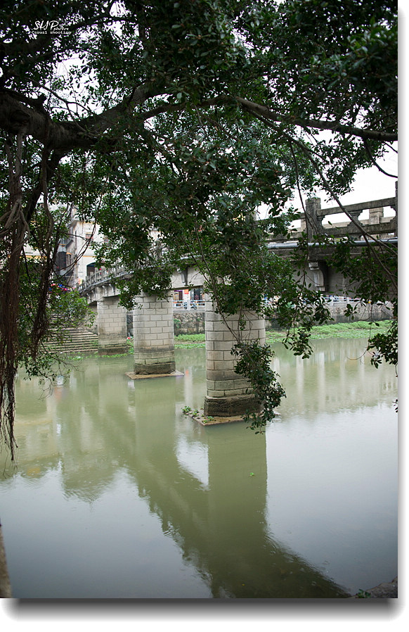 _DSC0916a.jpg _DSC0916a.jpg