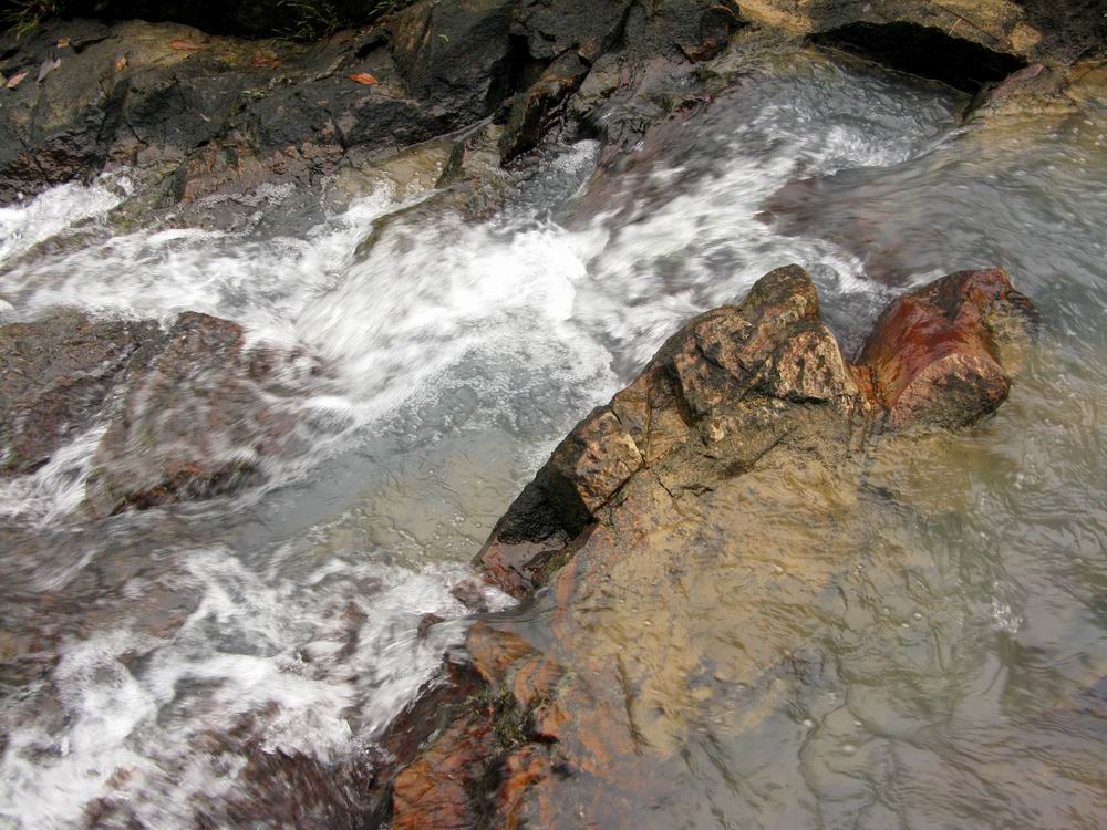 IMG_2645.JPG