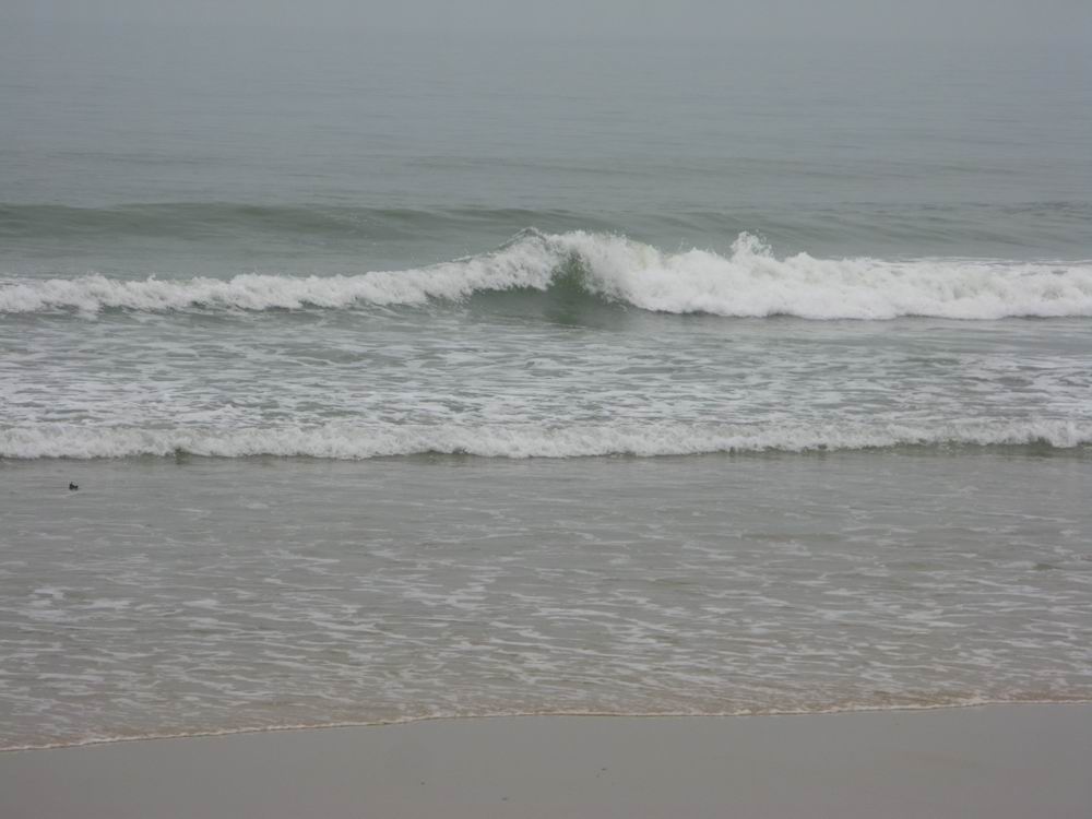 IMG_2746.JPG
