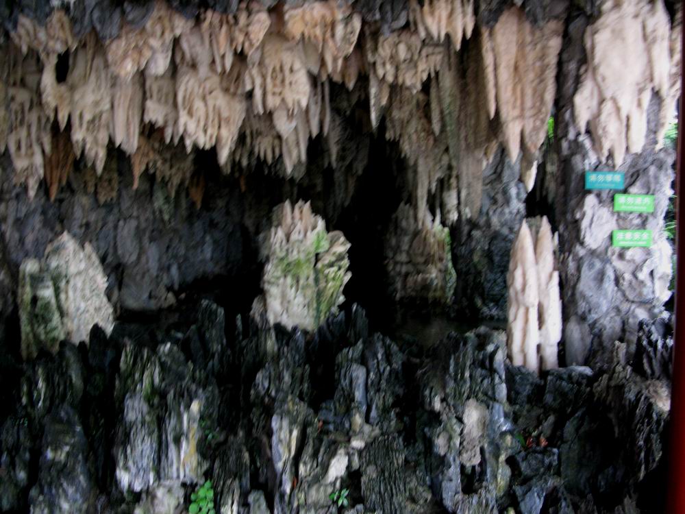 IMG_2470.JPG