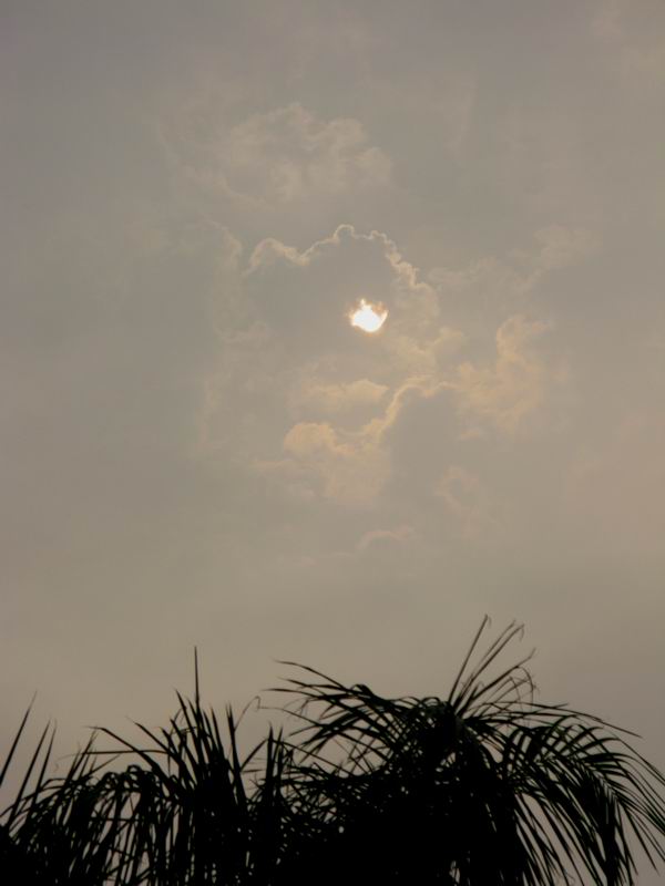 IMG_2232.JPG