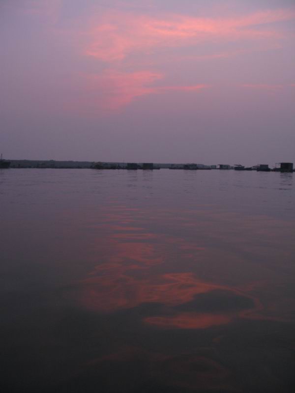 IMG_2893.JPG