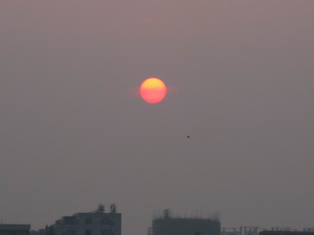 IMG_2849.JPG