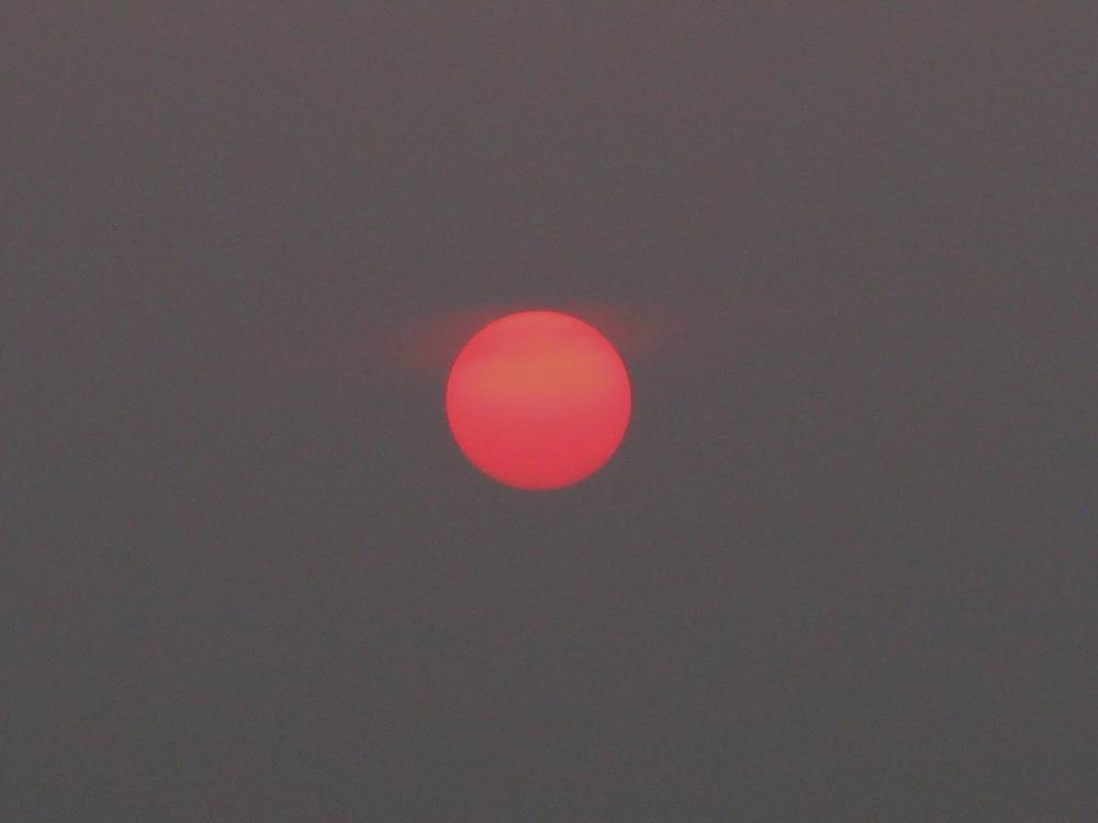 IMG_2852.JPG