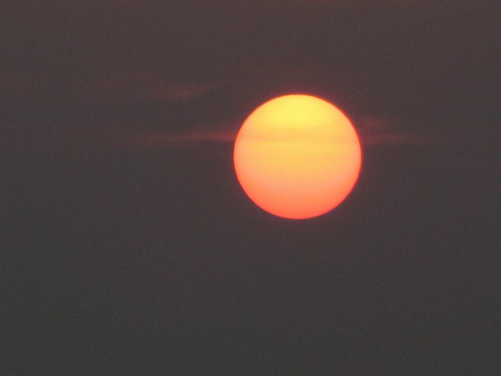 IMG_5204.JPG