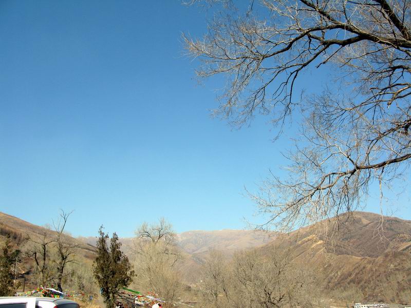IMG_2475.JPG