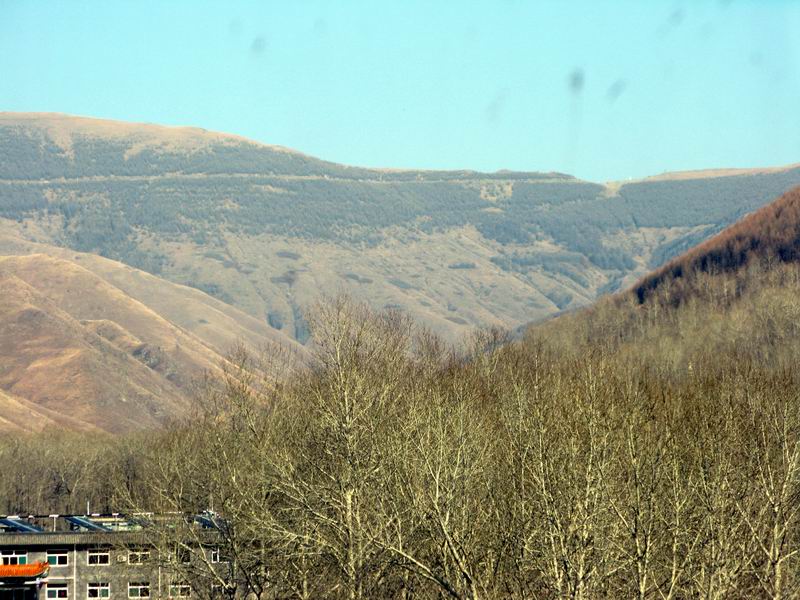 IMG_2505.JPG
