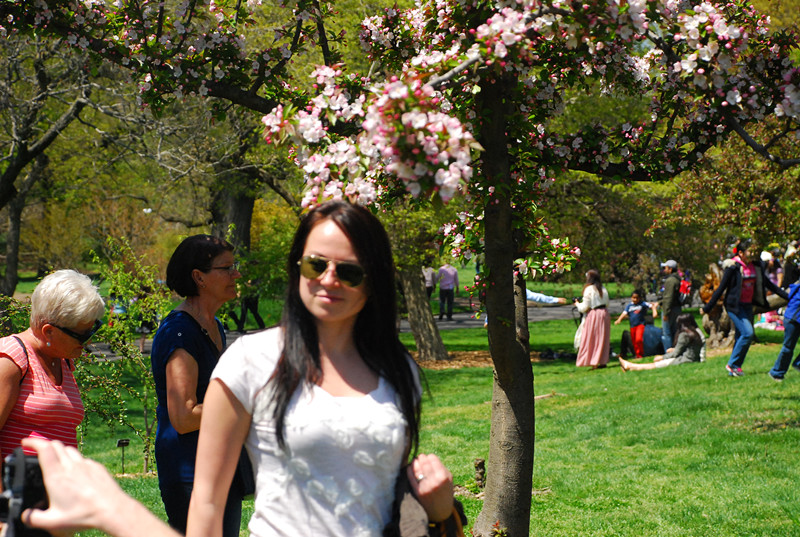 DSC_0052_.jpg