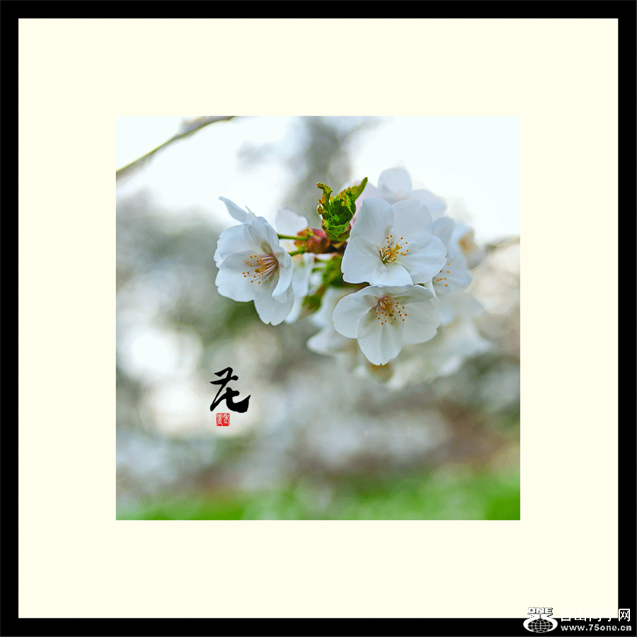 fDSC_4394ca.gif