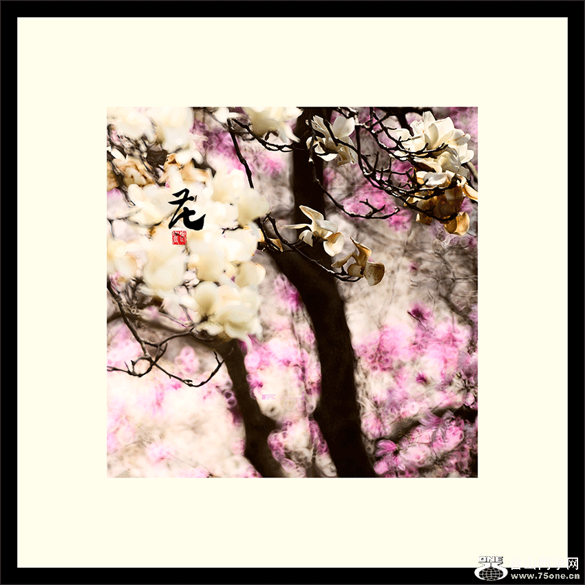 fDSC_3681a.gif