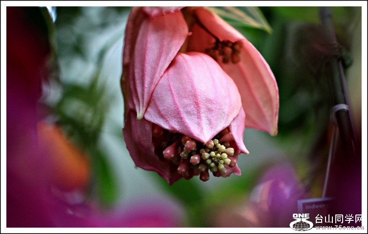 IMG_1060.JPG