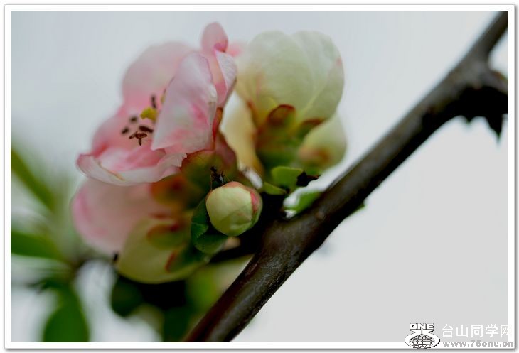 nEO_IMG_DSC_0727.jpg